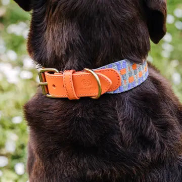 Halsband Premium Sunset Eukalyptus gepolstert
