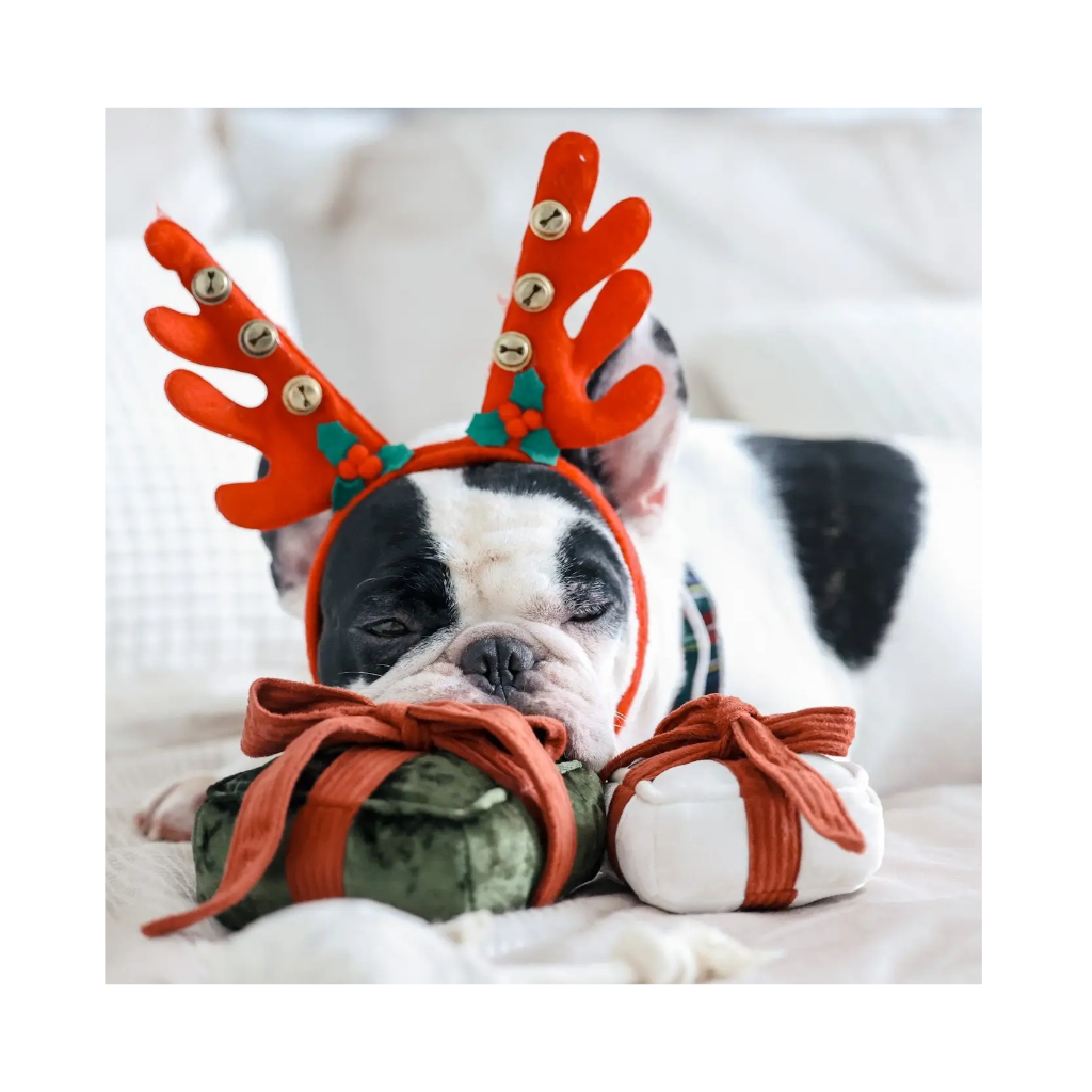 Hund mit Hundespielzeug HOLIDAY BOX Pine & Snow - Lambwolf Collective