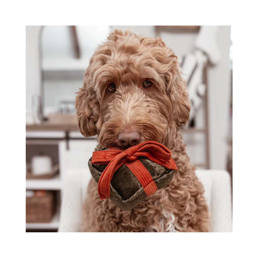 Hund mit Hundespielzeug HOLIDAY BOX Pine - Lambwolf Collective