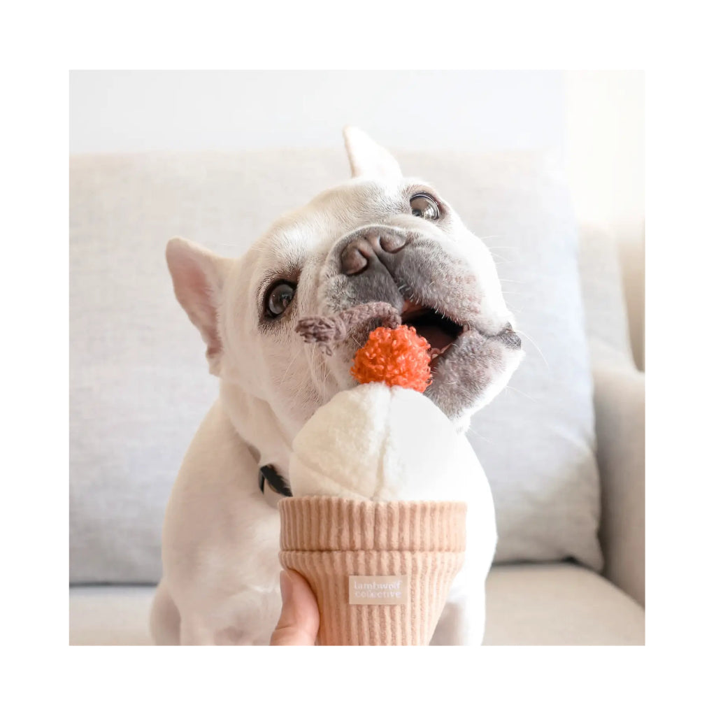 Frenchie mit Schnüffelspielzeug Icecream POP - Lambwolf Collective