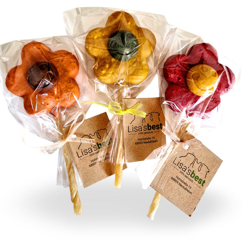 Hunde Lolli Flower Hüttenkäse