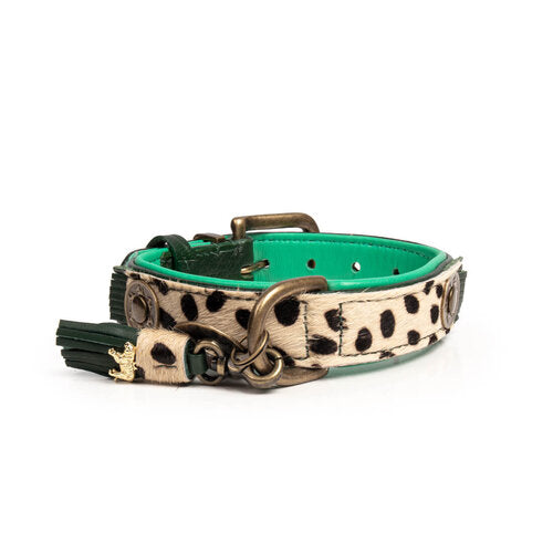 Vorderseite Halsband IVY Medium new Design 2024 - DWAM - Dog With A Mission