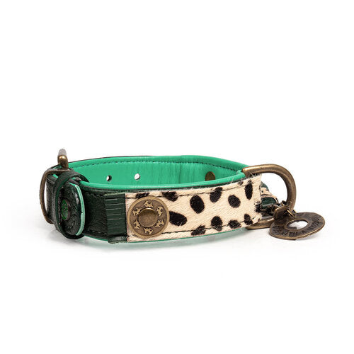 Rückseite Vorderseite Halsband IVY Medium new Design 2024 - DWAM - Dog With A Mission
