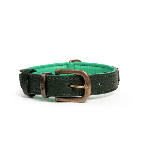 Schnalle Halsband IVY Medium new Design 2024 - DWAM - Dog With A Mission