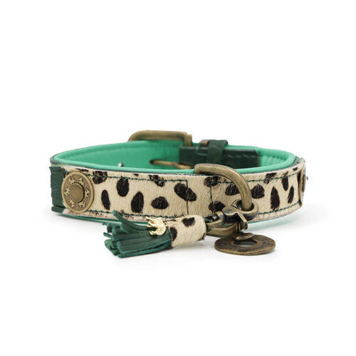Vorderseite Halsband IVY Small new Design 2024 - DWAM - Dog With A Mission