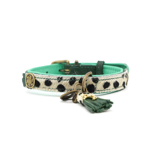 Vorderseite Halsband IVY Extra Small new Design 2024 - DWAM - Dog With A Mission