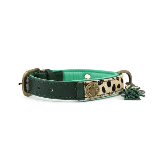 Rückseite Halsband IVY Extra Small new Design 2024 - DWAM - Dog With A Mission