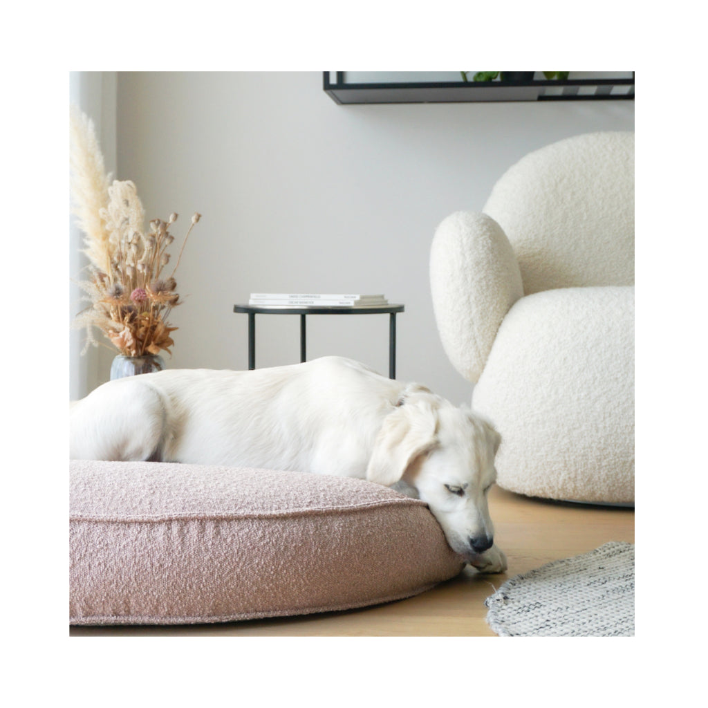 Hundekissen JUMA aus Bouclé
