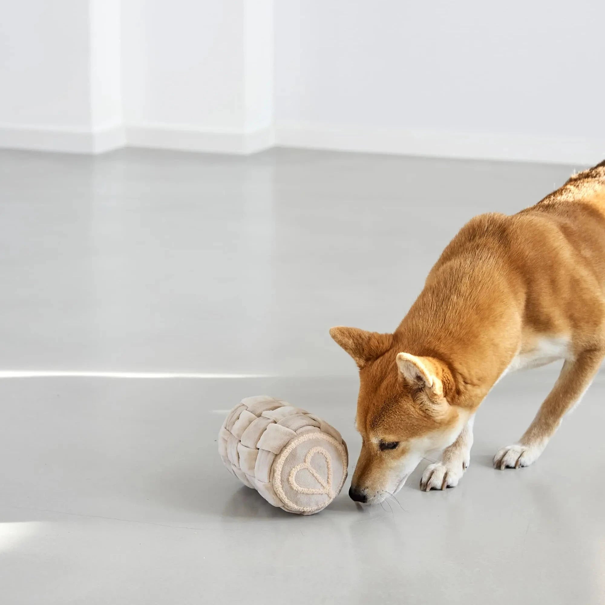 PALOPA Hundespielzeug KALPI Beige