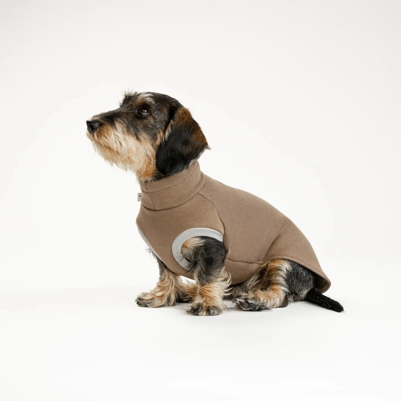 KARMA HUND Sweathirt 2.0 für Dackel in Mokka