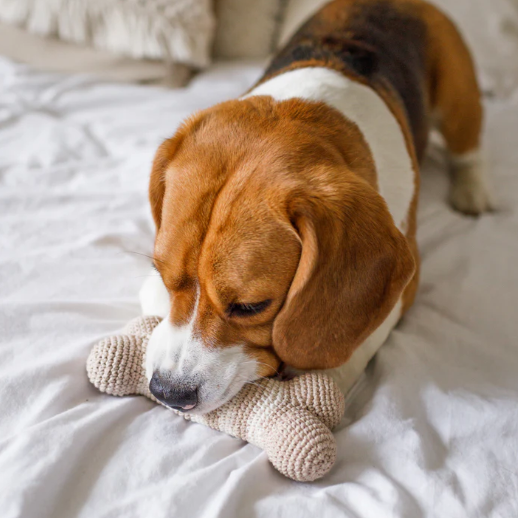 Hund mit Knochen LILLY gehäkelt ALMOND - Lillabel