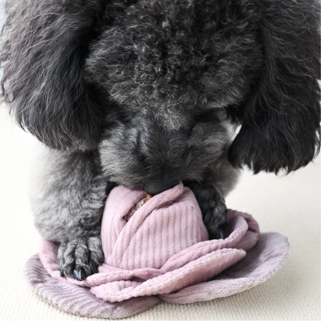 Schnüffelspielzeug Kohl Pop