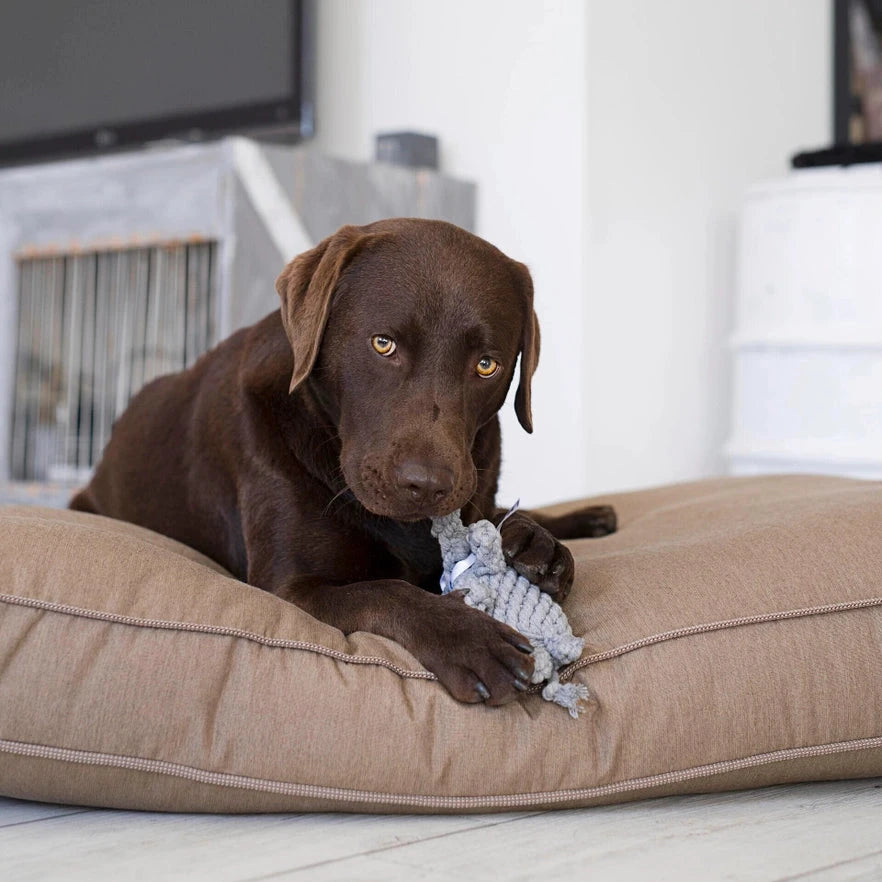 Hundekauspielzeug Elefant Elton