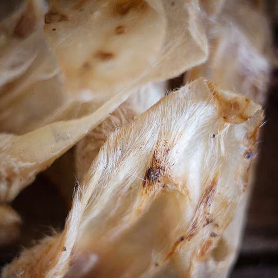 Nahaufnahme Lammohren luftgetrocknet - Paul & Paulina