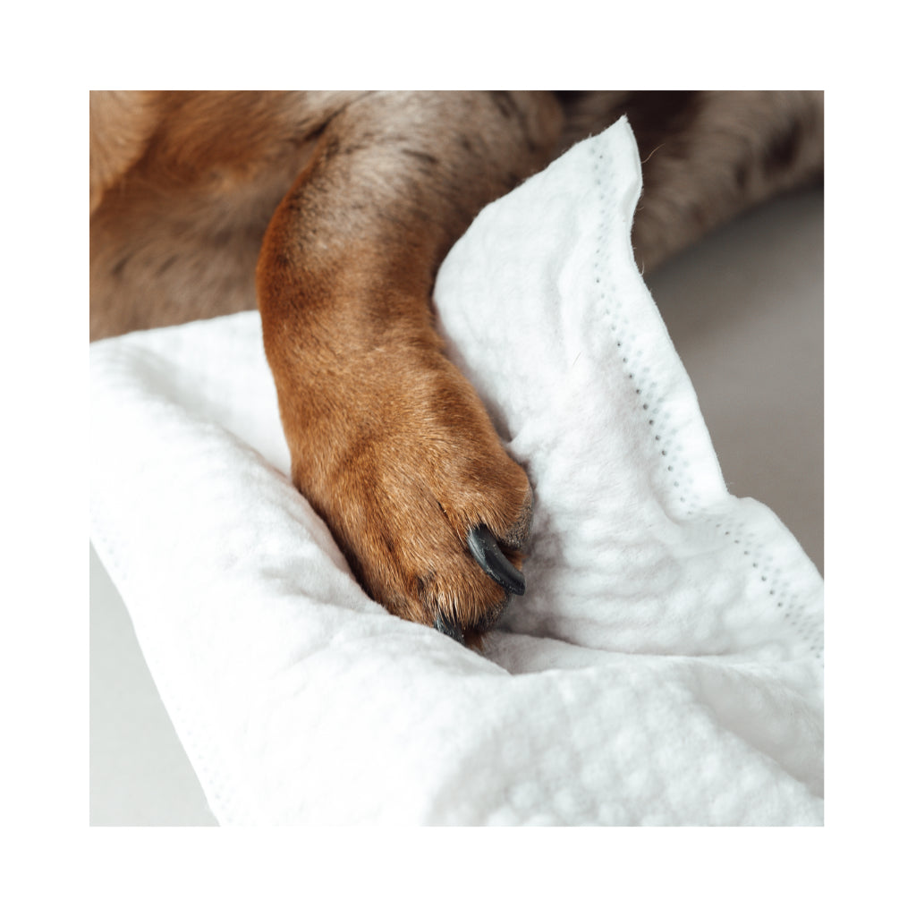 Lavettes Waschhandschuhe