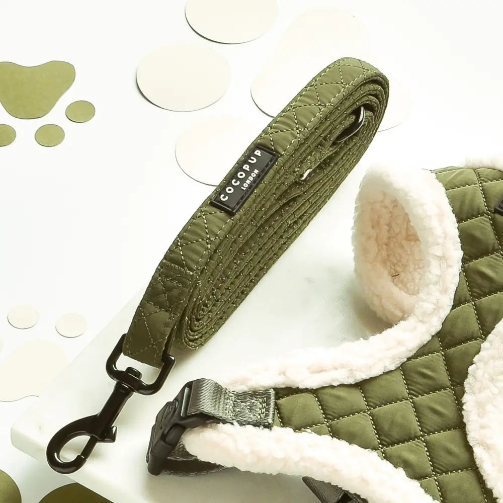 Hundeleine QUILTED gesteppt Khaki neben Hundegeschirr - COCOPUP London