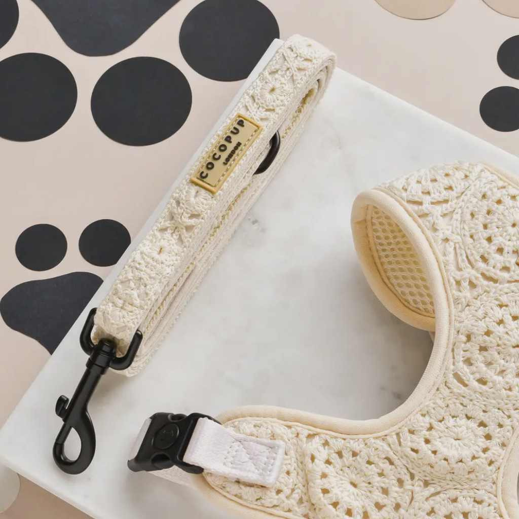 Moodbild Hundeleine & GEschirr CROCHET Nude - COCPUP London