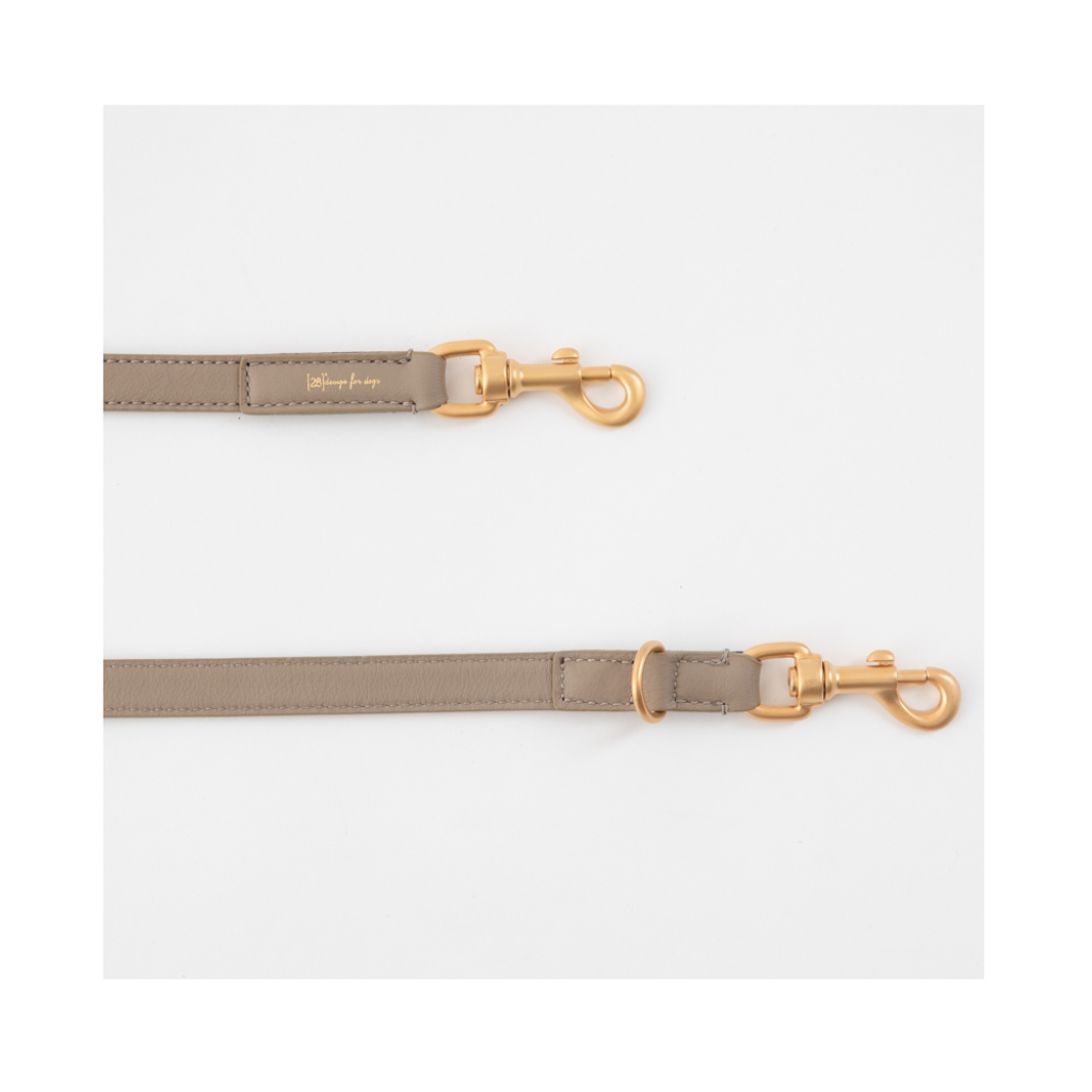 Karabiner Hundeleine verstellbar MARIO lazy taupe - 2.8 designs for dogs