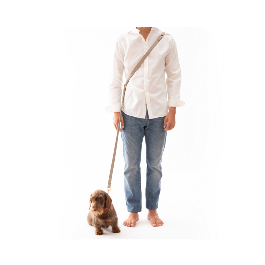 Tragebild Hundeleine verstellbar MARIO lazy taupe 2 - 2.8 designs for dogs