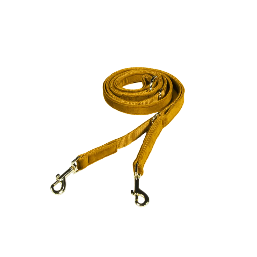Hundeleine verstellbar VELVET Mustard 2m - Kentucky Dogwear