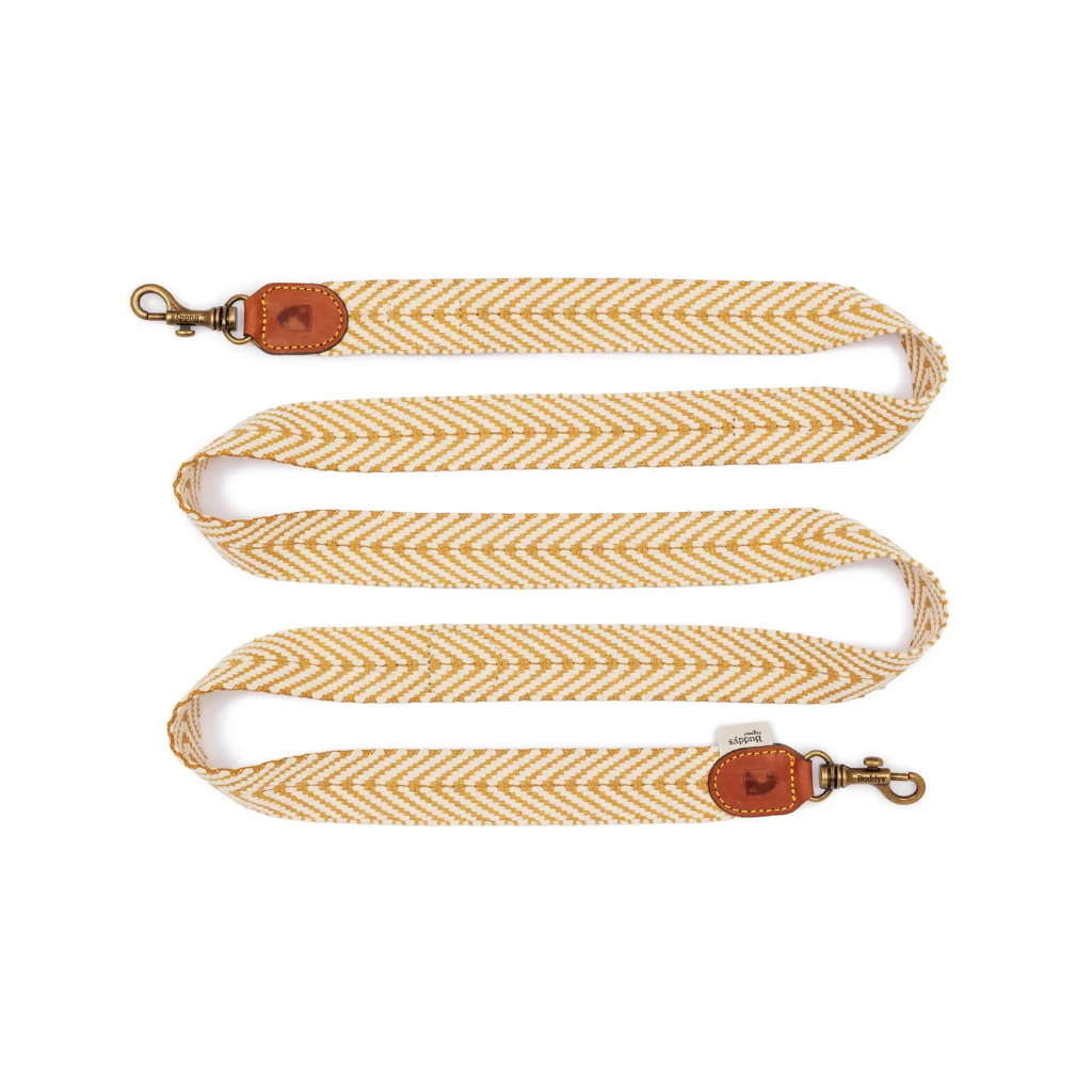 Hundeleine verstellbar Portixol Sun - Summer Edition - Buddys Dogwear