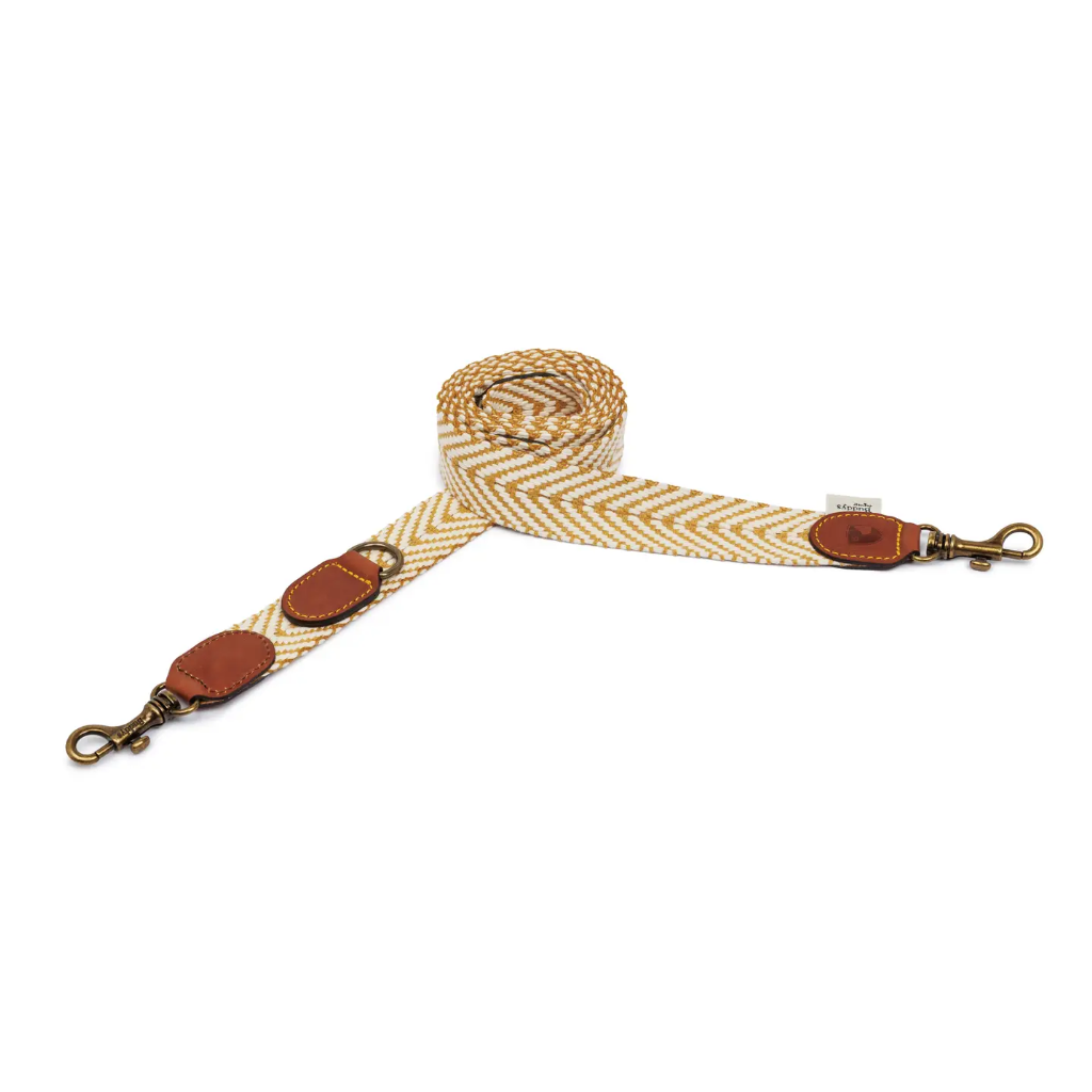 Hundeleine verstellbar Portixol Sun - Summer Edition aufgerollt - Buddys Dogwear