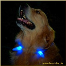 LEUCHTIE Zapfen für Langhaar