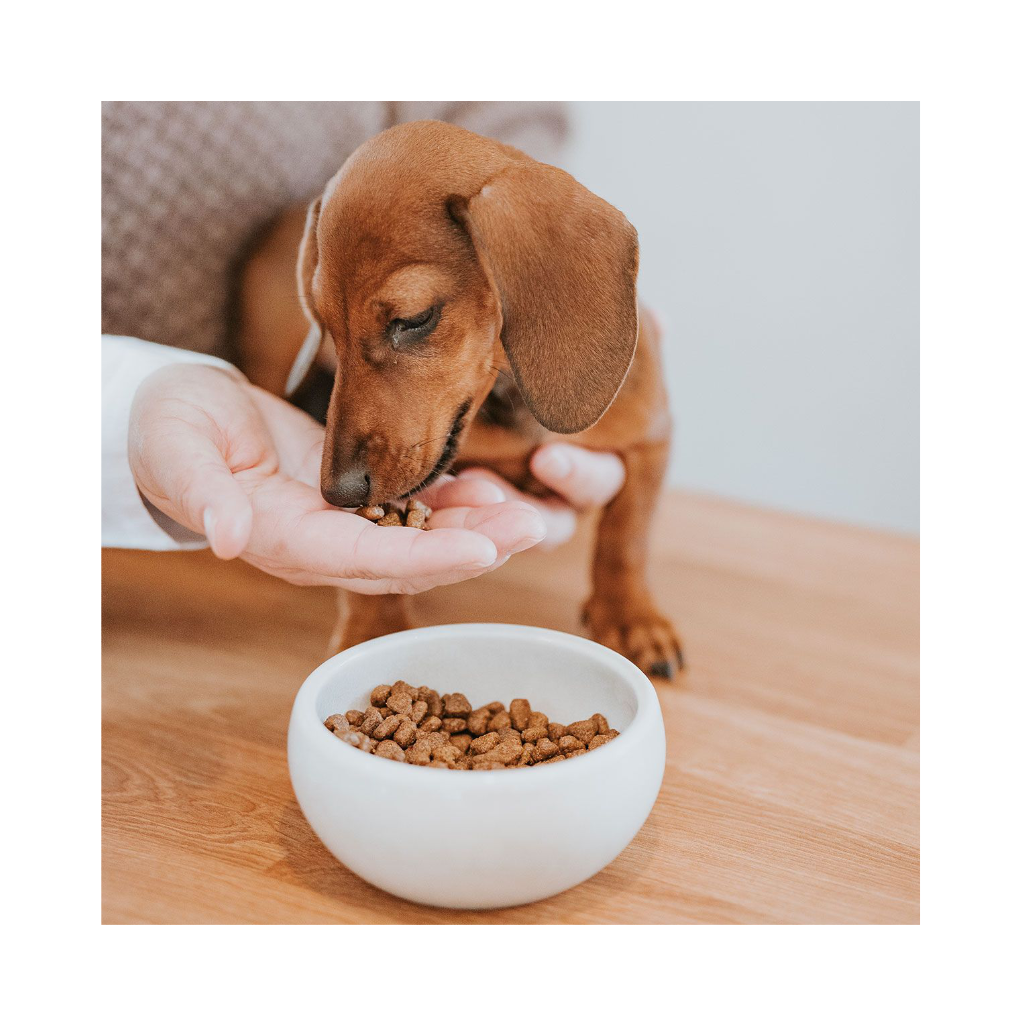 Futer in Keramik Napf Lisboa - HUNTER