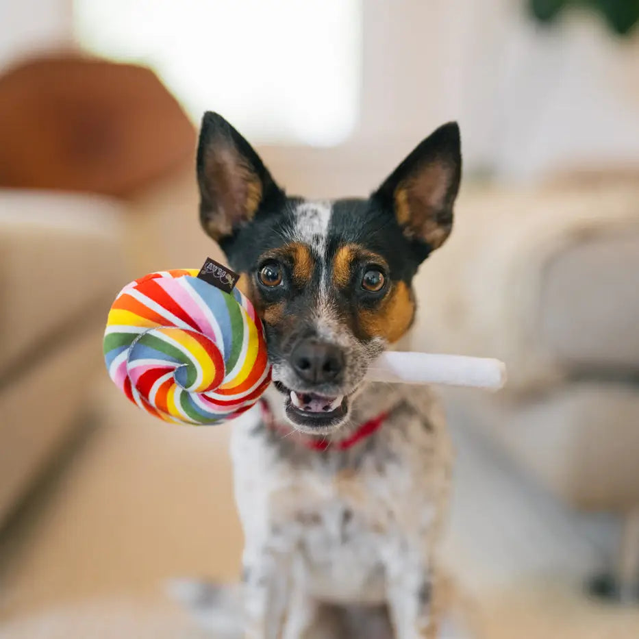 P.L.A.Y Hundespielzeug Lollipop