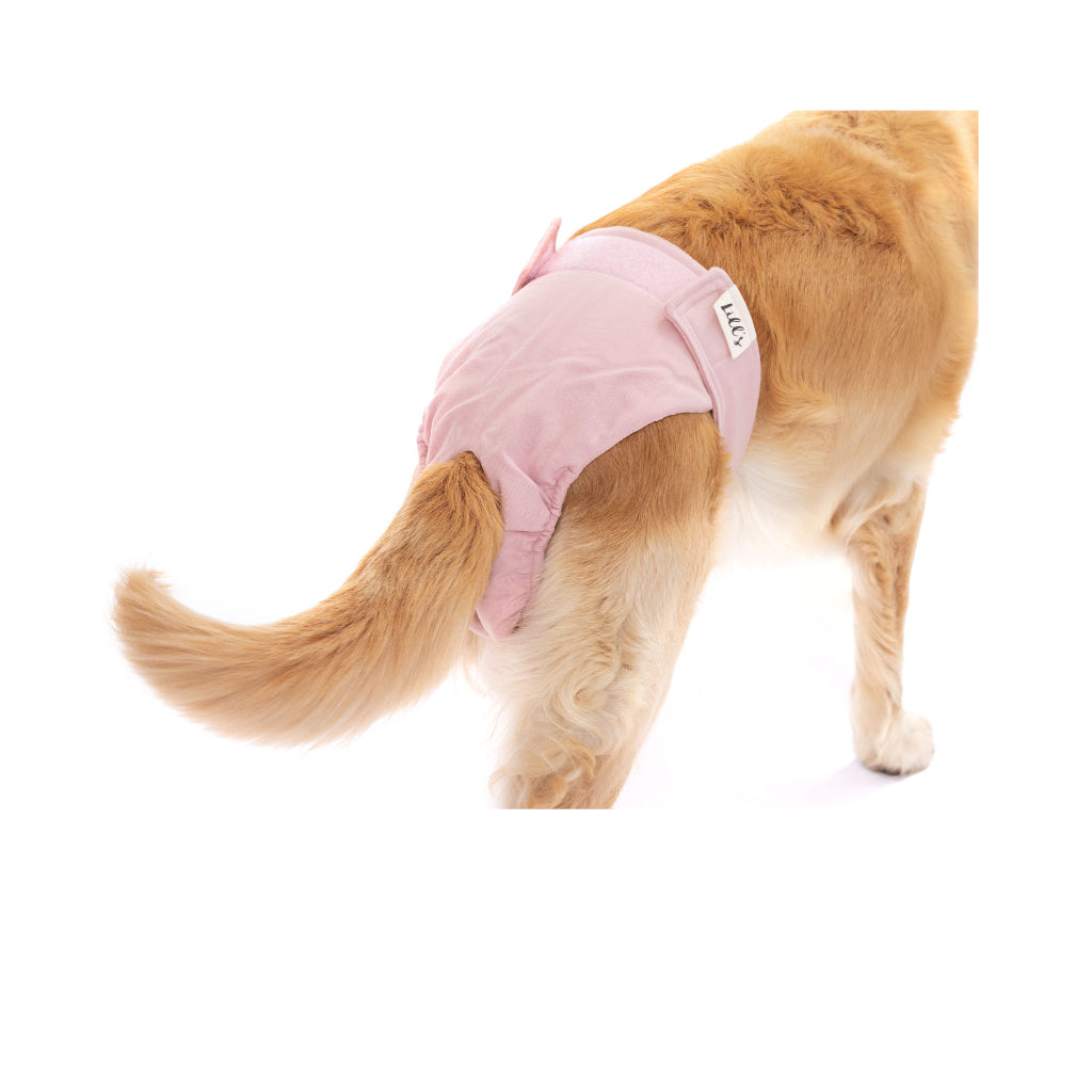 Tragebild Läufigkeitshöschen LOU aus Bio-Baumwolle PINK BERRY - Lill's