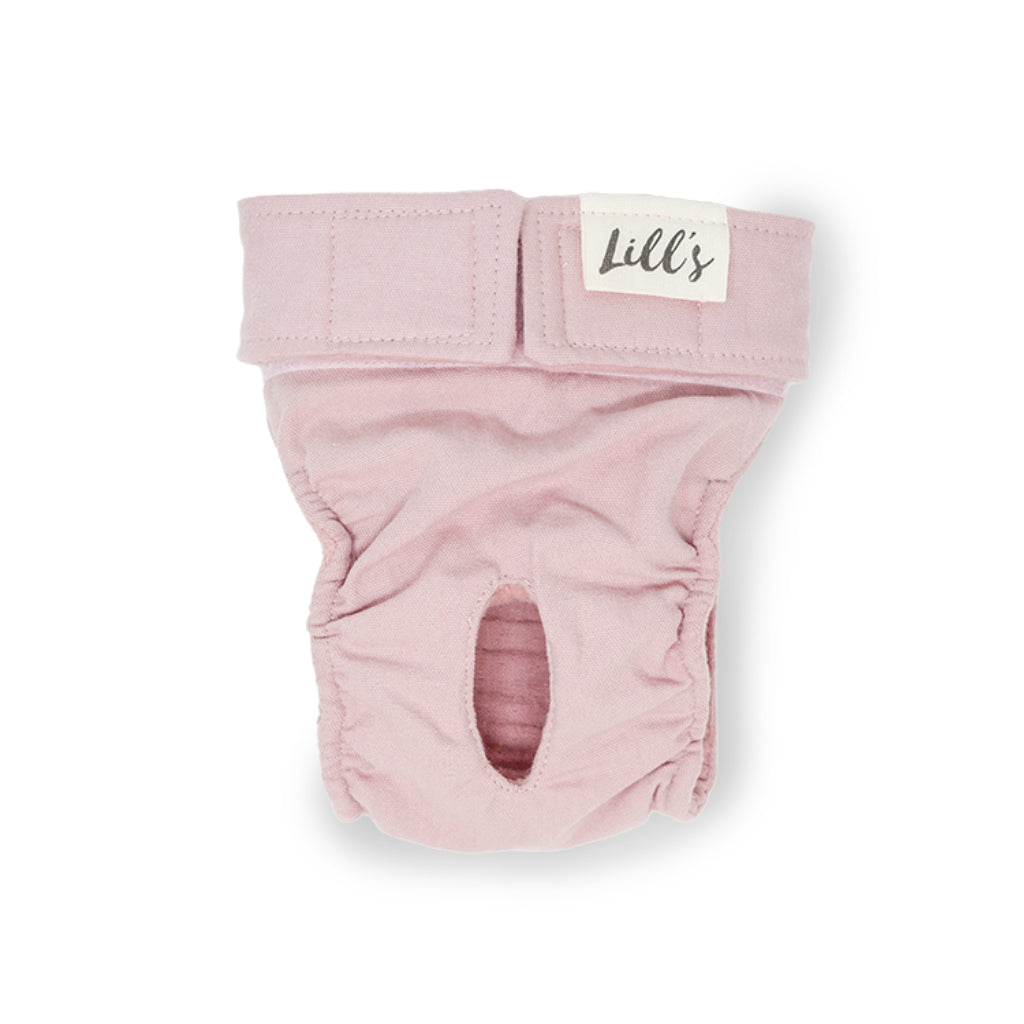 Läufigkeitshöschen LOU aus Bio-Baumwolle PINK BERRY - Lill's