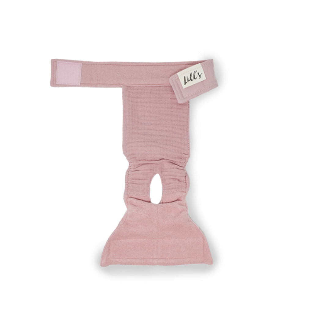 Läufigkeitshöschen LOU aus Bio-Baumwolle PINK BERRY geöffnet - Lill's