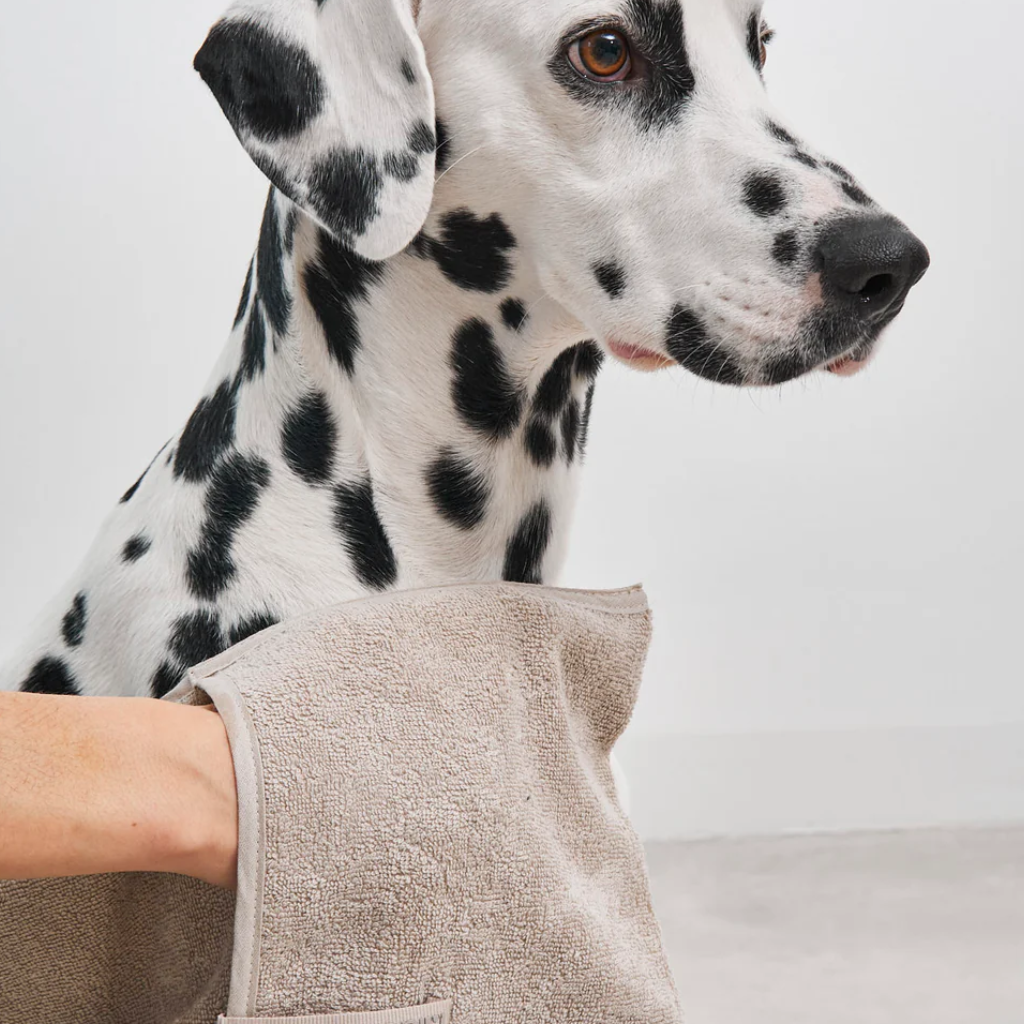 Nahaufnahme Hund mit MiaCara Mano Trockenhandtuch mit Eingriff Greige