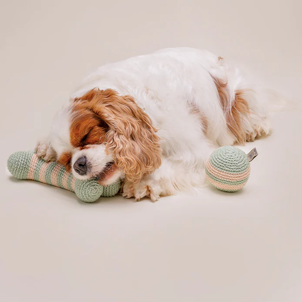 Hund mit Knochen & Ball LILLY gehäkelt MEADOW - Lillabel