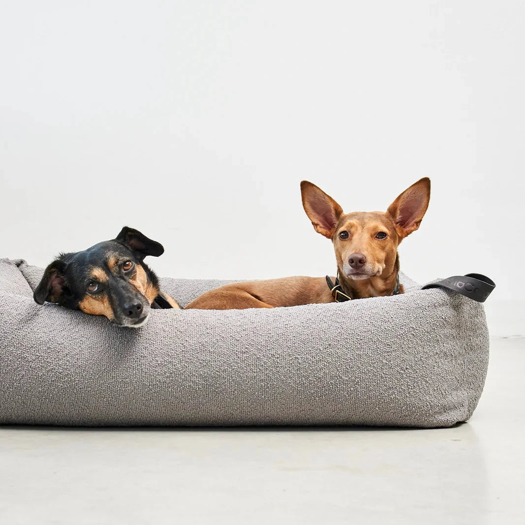 Hunde in MiaCara Hundebett Mondo cappuccino