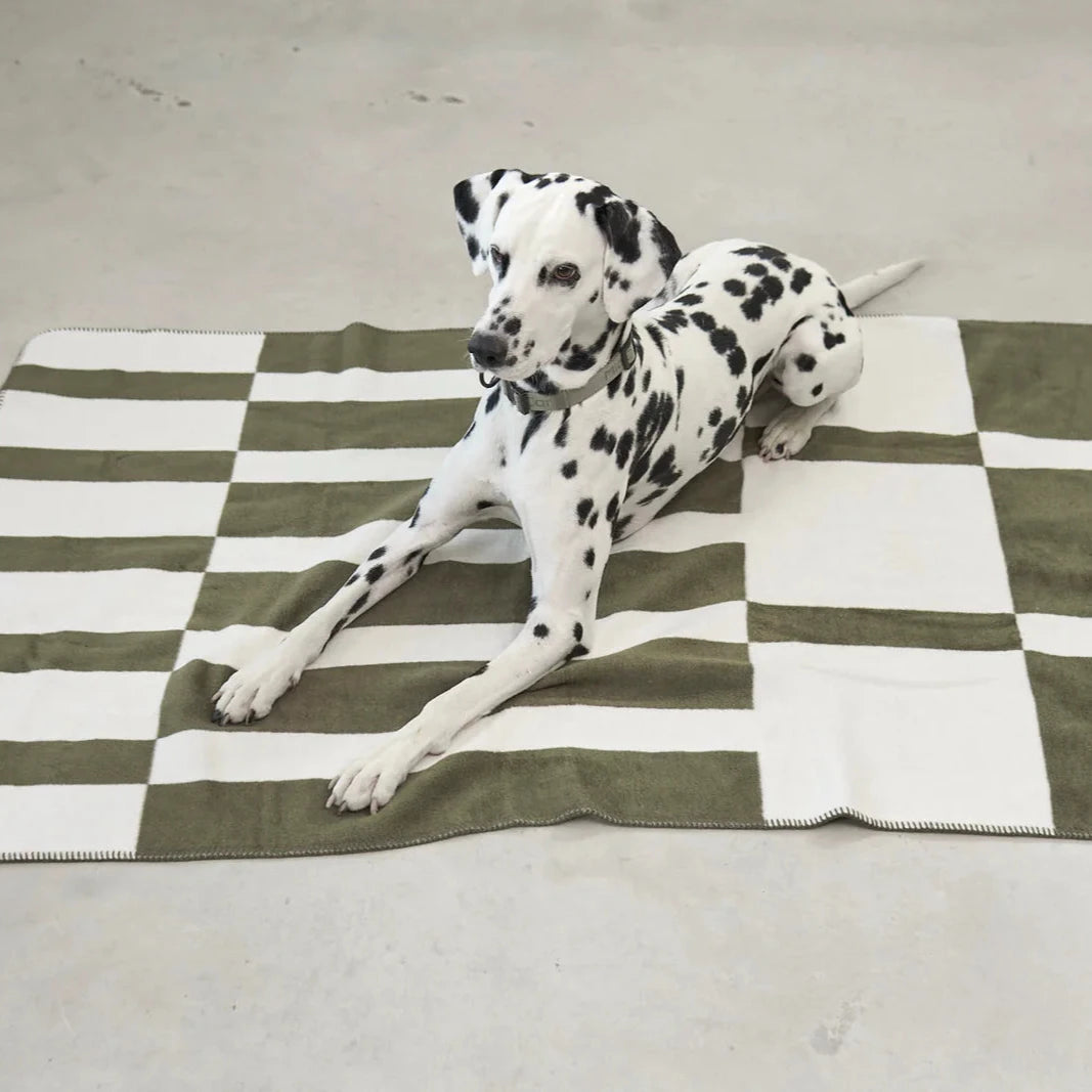 MiaCara Blocco Hundedecke Grolive Natur