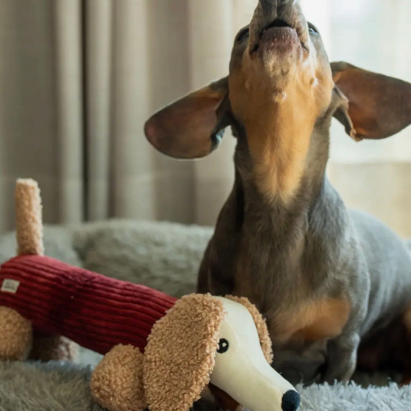 Hundespielzeug Dackel Micky Merlot