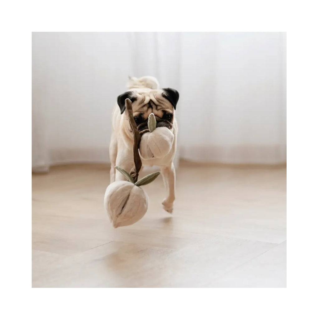 Mops mit Schnüffelspielzeug Pfirsich MOMO - Lambwolf Collective