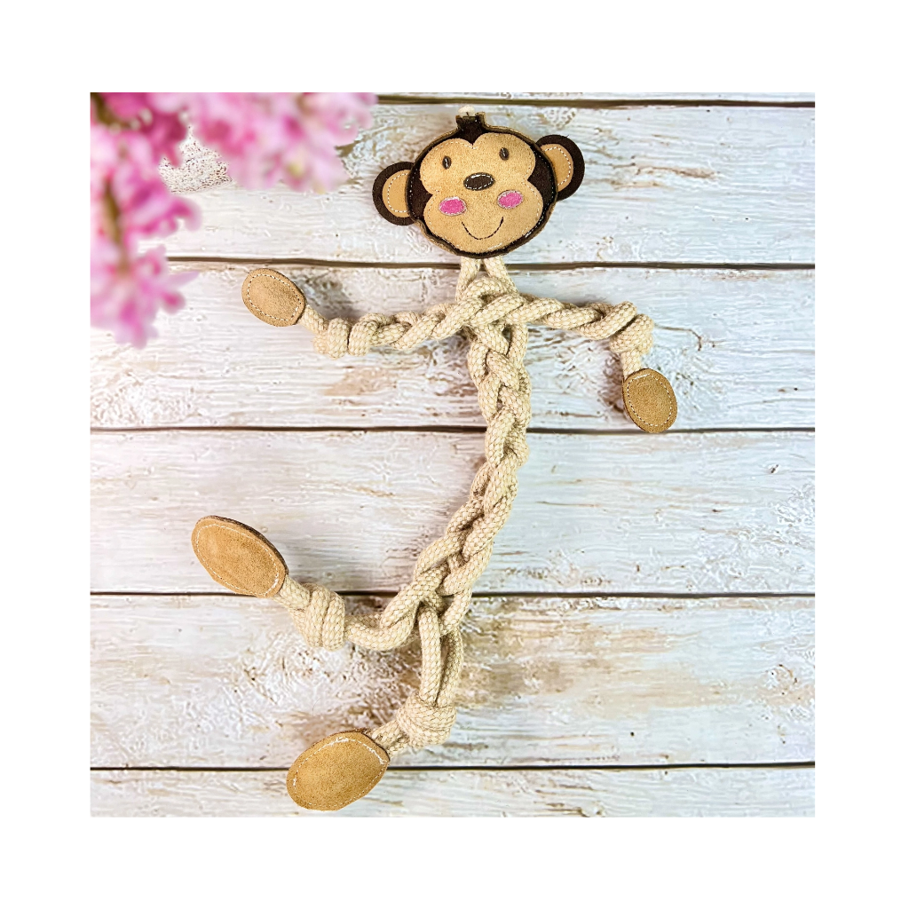 Moodbild 2 Hundespielzeug Zergel Monkey - Funny Zoo