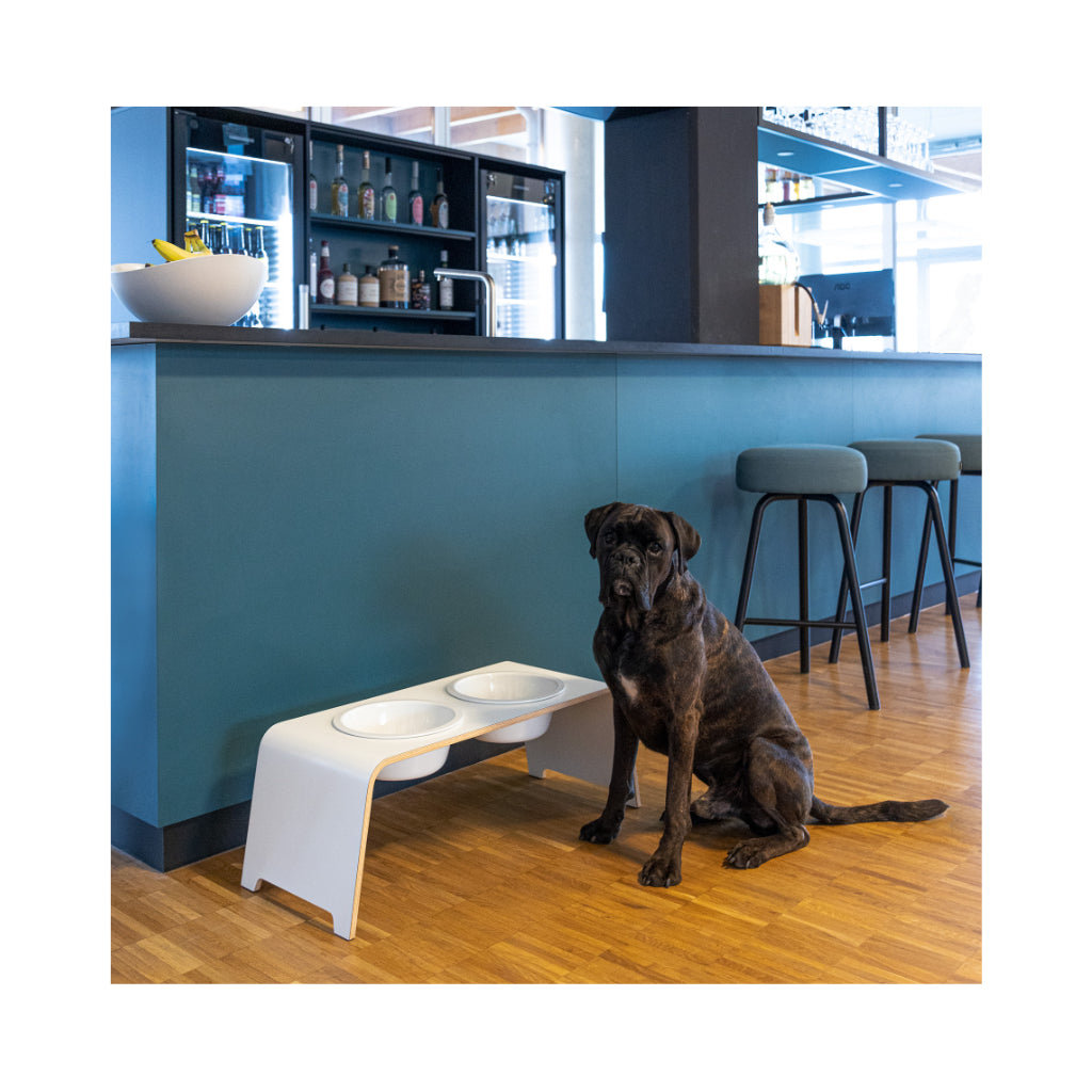 Mood Bild dogBar® Classic L weiß mit Prozellan Napf