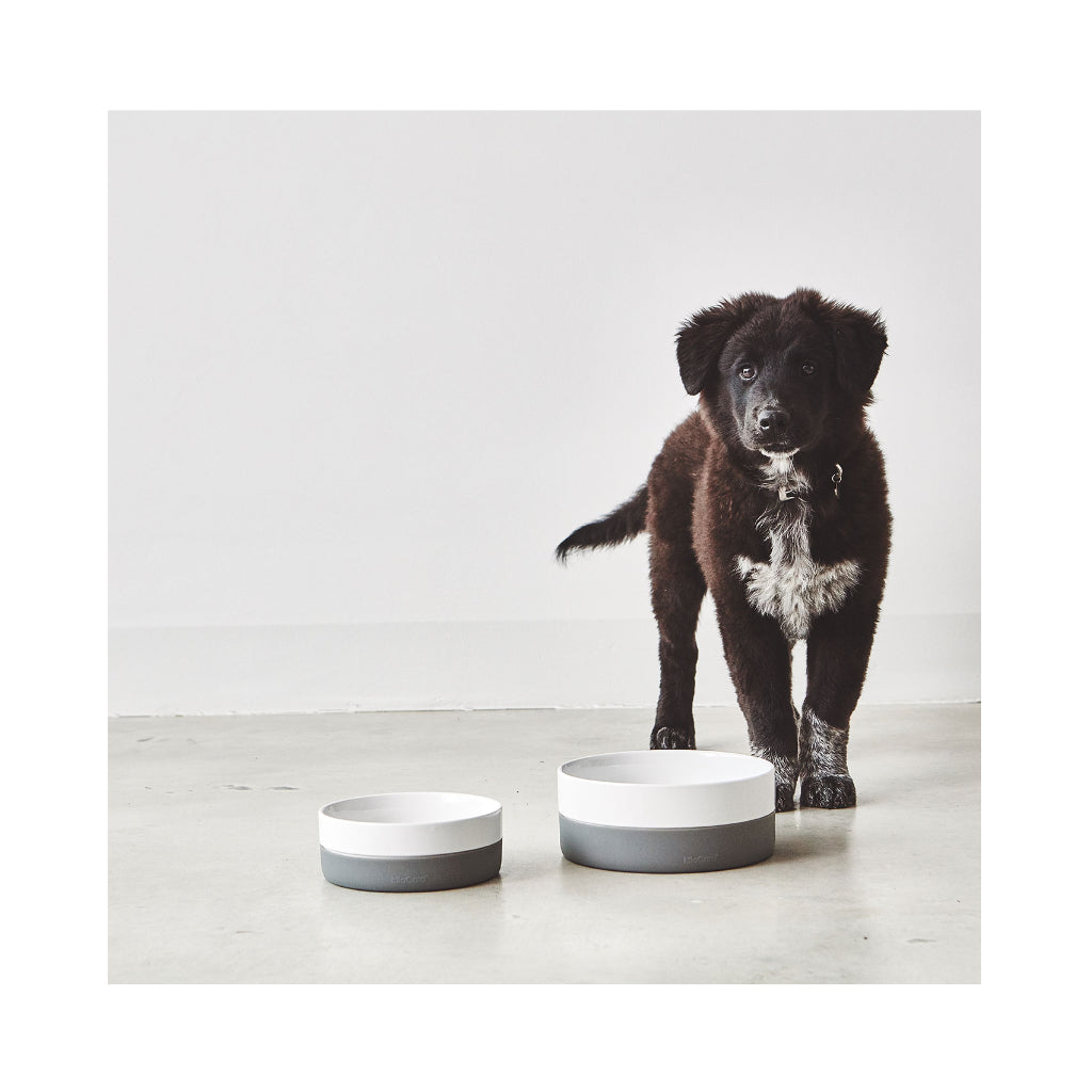 Welpe neben MiaCara Coppa Napf Schiefer grau - MiaCara
