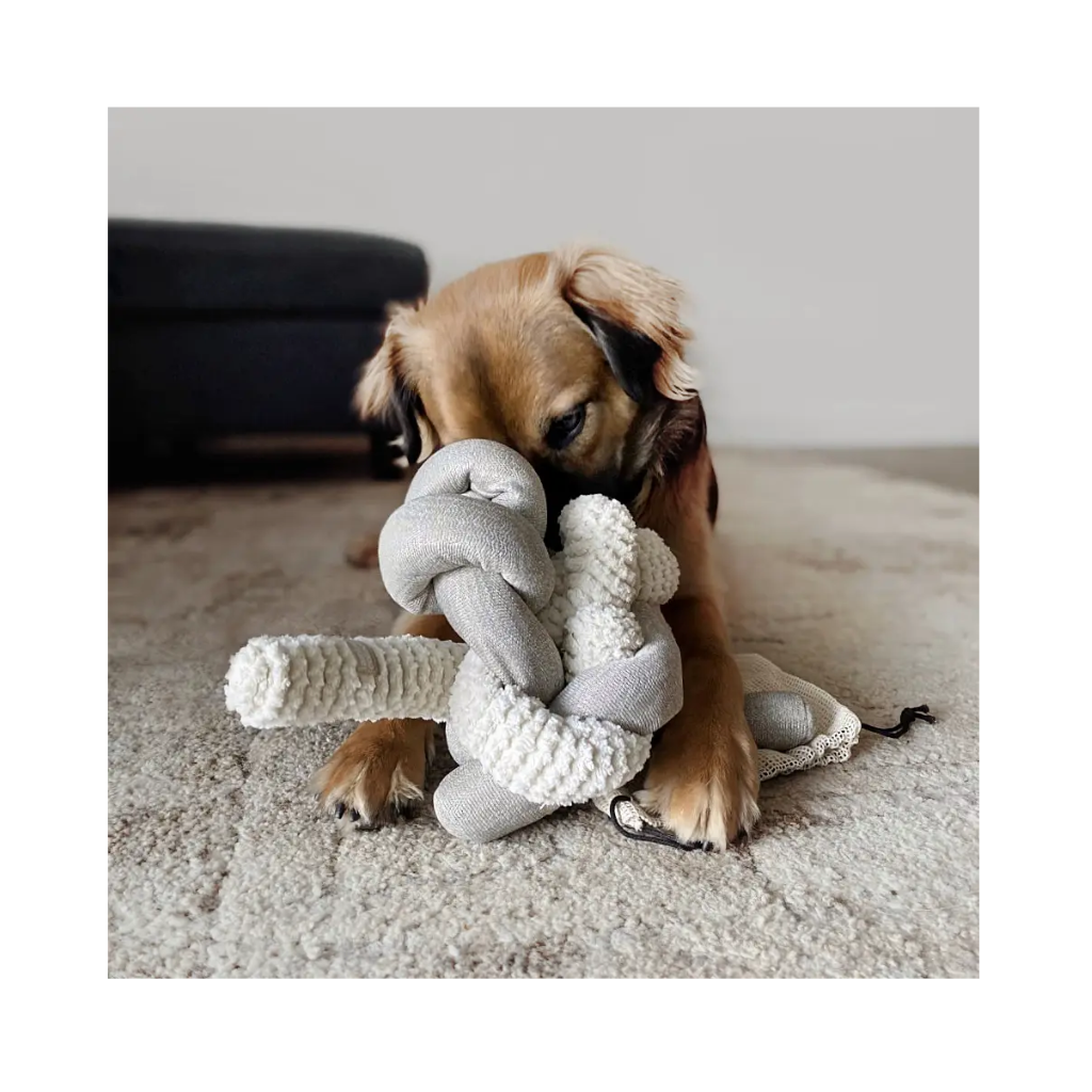 Hund mit NOU Hundespielzeug Nudel Knoten in Creme mit Crinkles - Lambwolf Collective