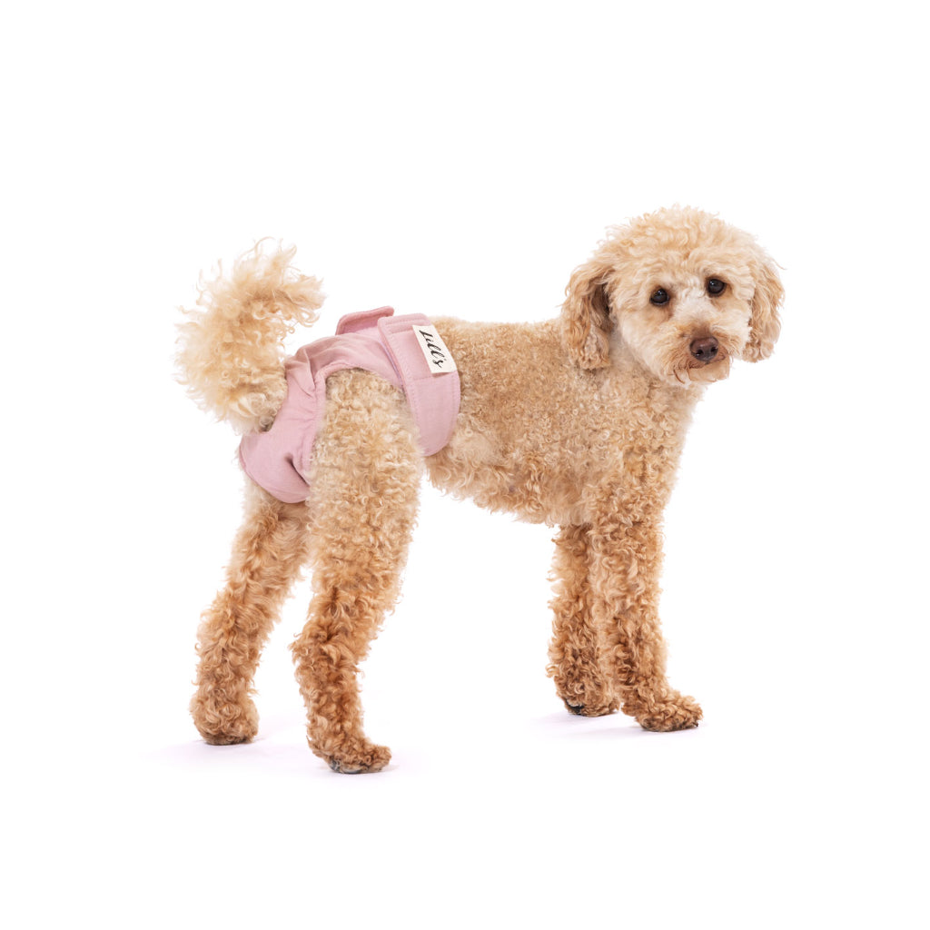 Hund mit Läufigkeitshöschen LOU aus Bio-Baumwolle PINK BERRY - Lill's