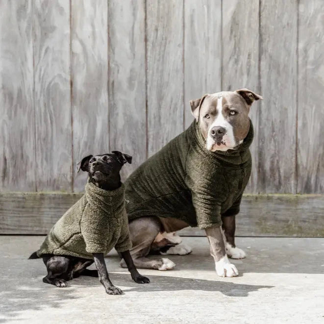 Tragebild Hundepullover Teddy Fleece Oliv - Kentucky Dogwear