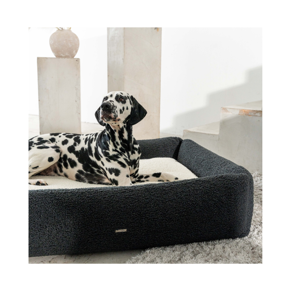 Hund in Hundebett OREO aus Premium Bellagio-Bouclé schwarz- BUCIANO