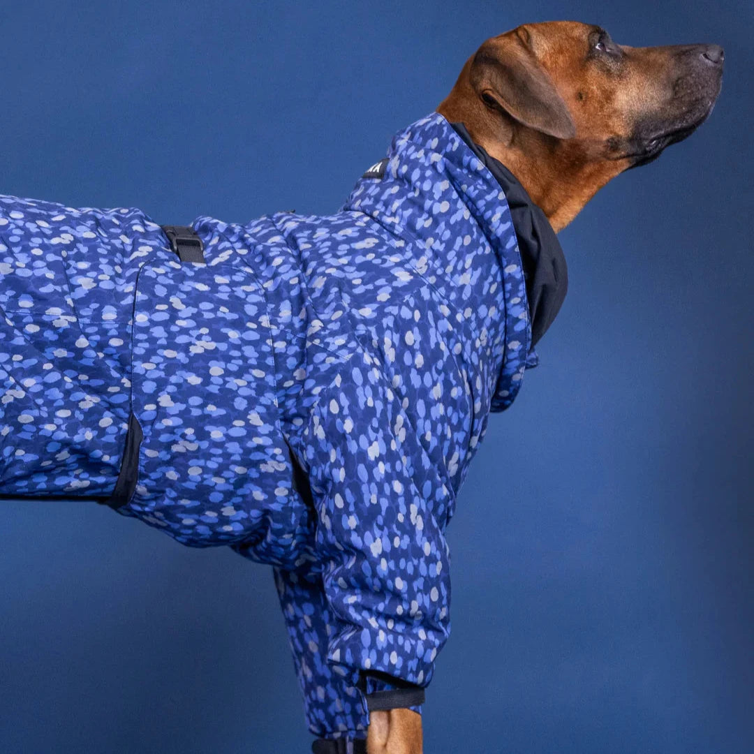 Tragebild 2 Hundewinteranzug Winter Suit Blue - PAIKKA