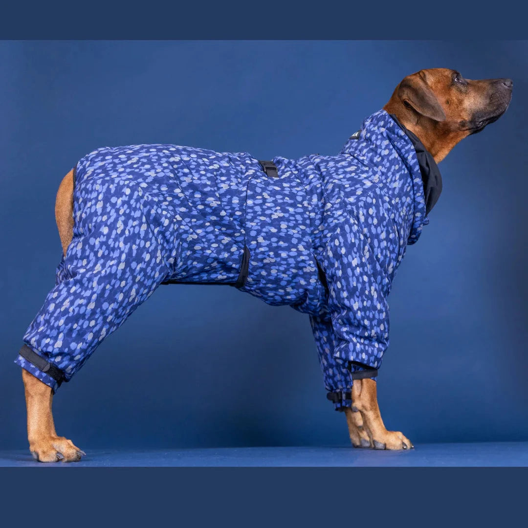 Tragebild Seitenansicht Hundewinteranzug Winter Suit Blue - PAIKKA