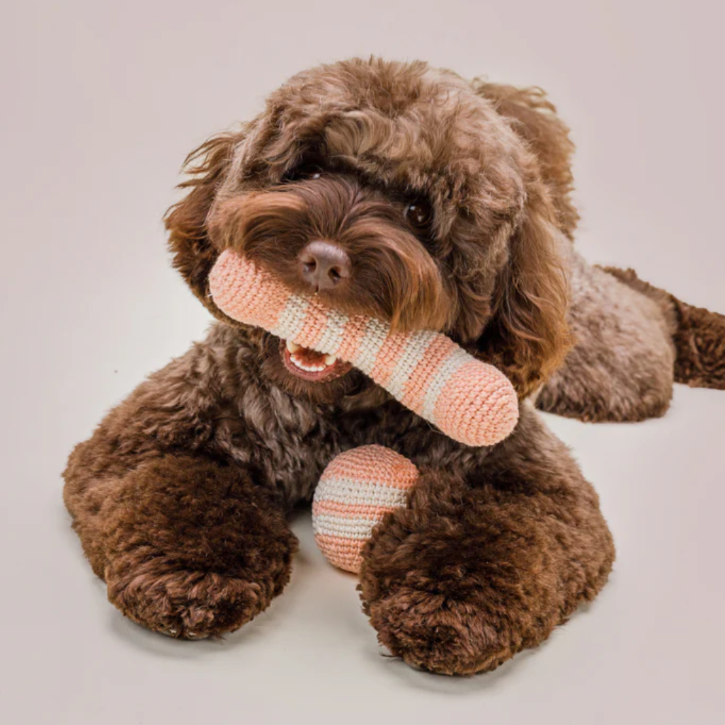 Hund mit Kncohen & Ball RAINBOW gehäkelt PEACH - Lillabel