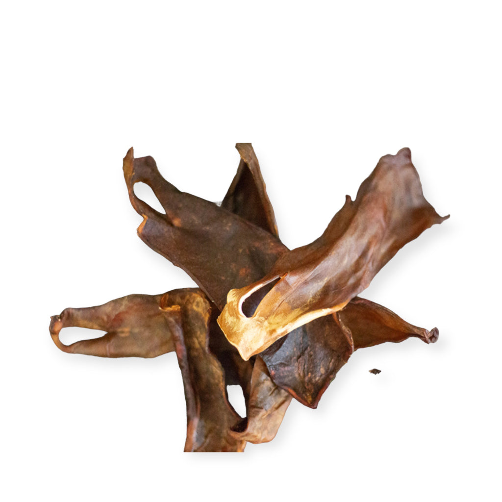 Pferdekopfhaut getrocknet - Paul & Paulina