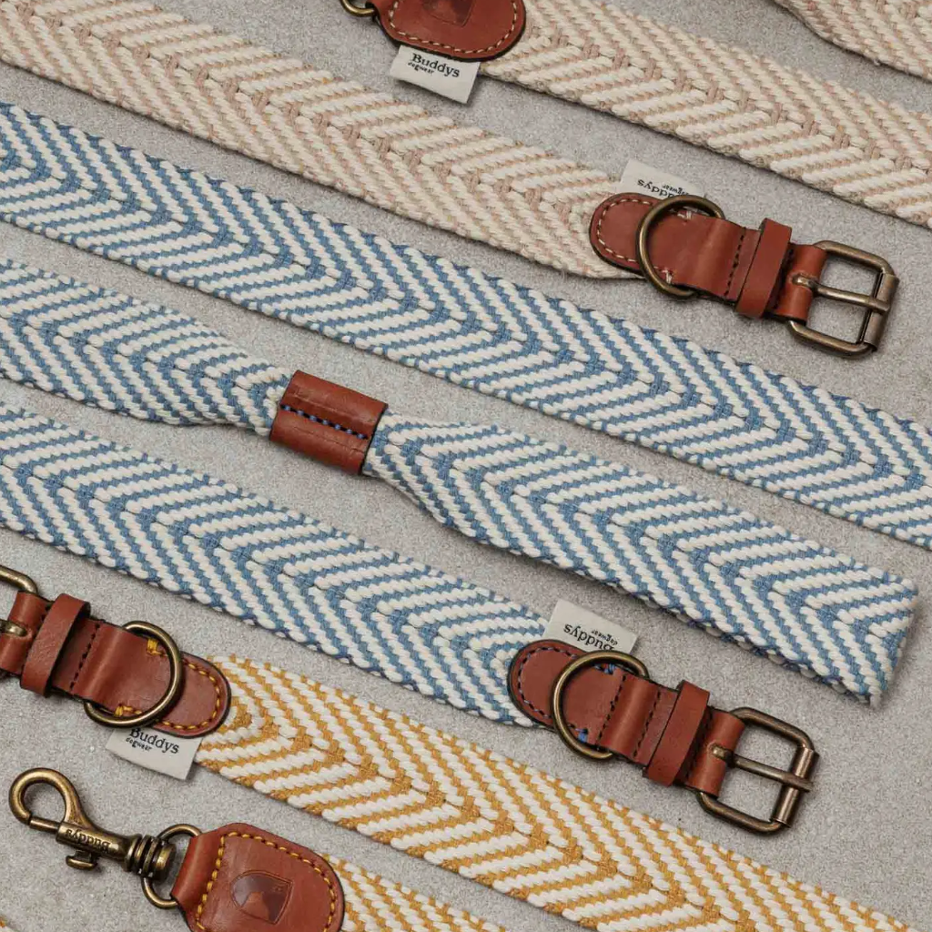 Farbübersicht Hundeleine verstellbar Portixol - Summer Edition - Buddys Dogwear